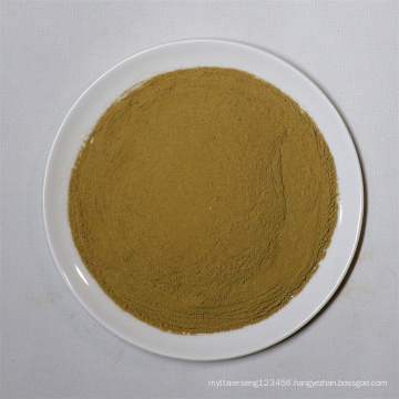 Healthy Dried Vegetables green bell pepper Powder Natural